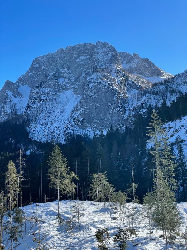 Sappada mountain