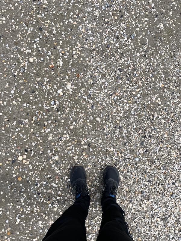 cavallino treporti beach