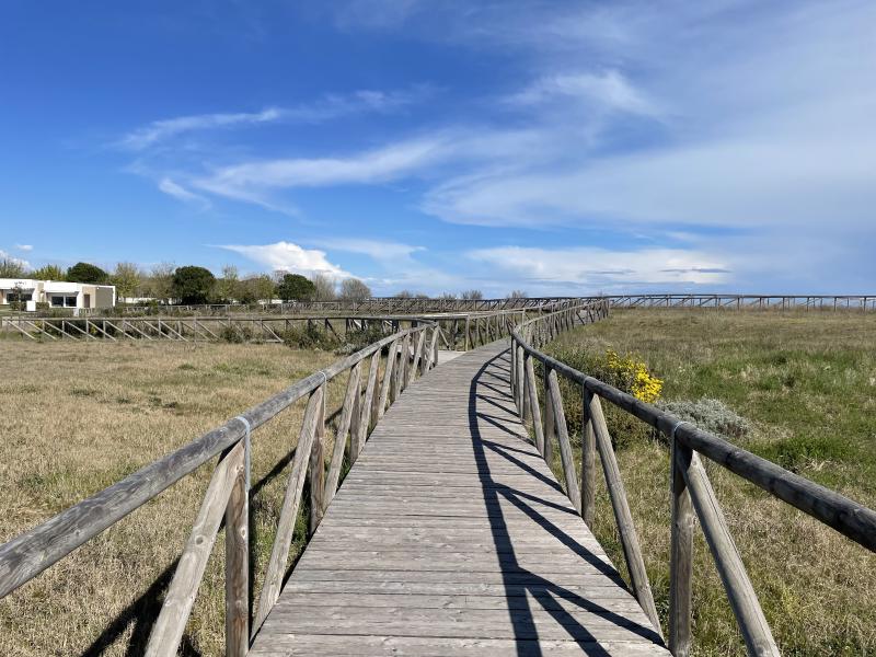 Walking route
